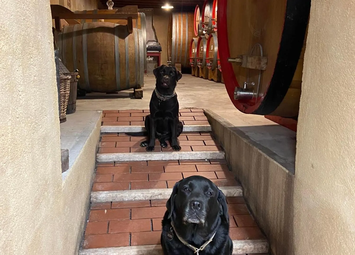 La Vineria Di San Mattia Villa Verona