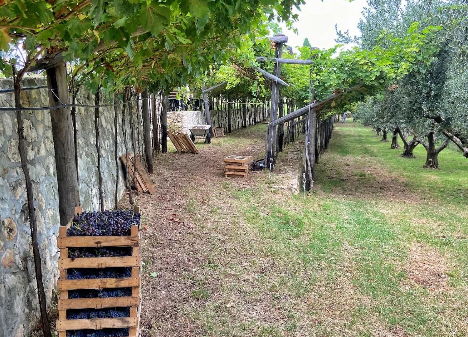 La Vineria Di San Mattia Villa Verona 0*,  Italië